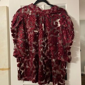 Women’s Anthropologie Velvet Cutwork Blouse and Cami Set